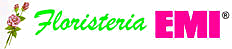 Barcelona Florist. Floristeria EMI